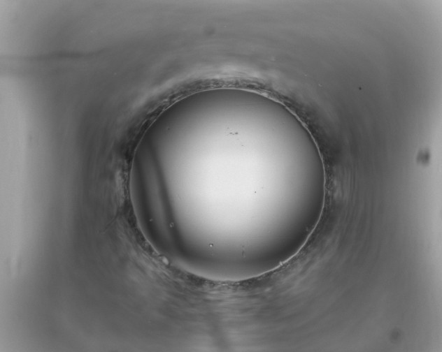 X0000093761493200710231242