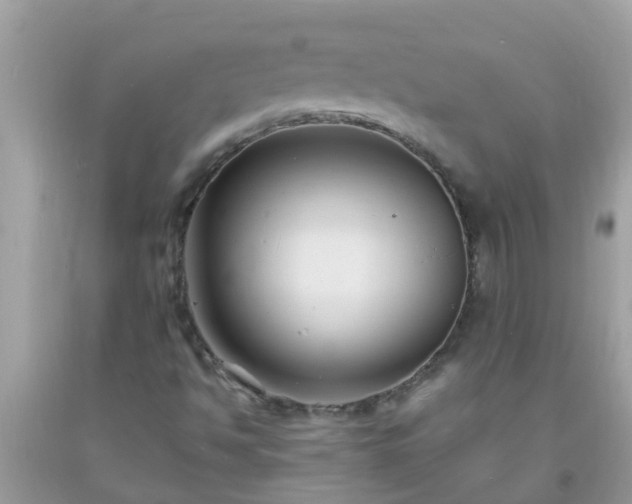 X0000093761494200710231242