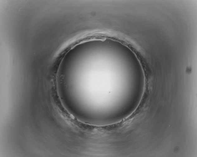 X0000093761496200710231242