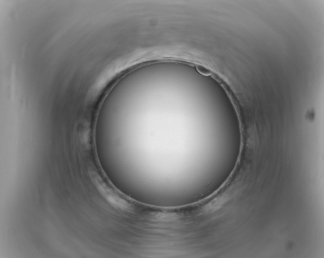 X0000093761499200710231242