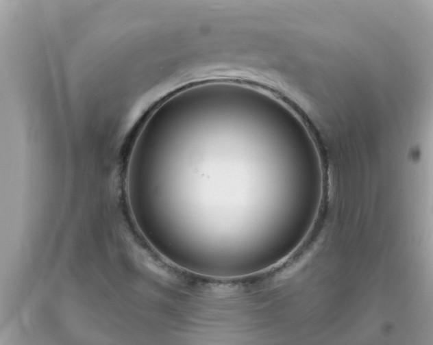 X0000093761501200710231242