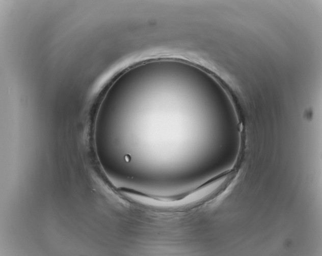 X0000093761502200710231242