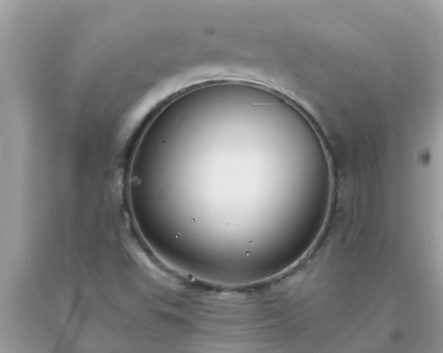 X0000093761503200710231242