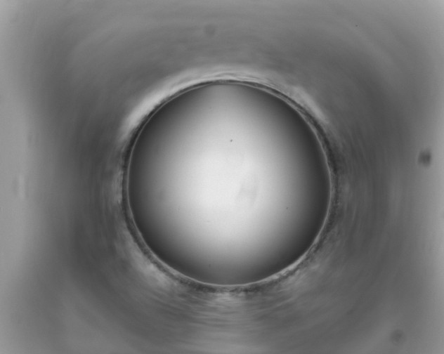 X0000093761504200710231242