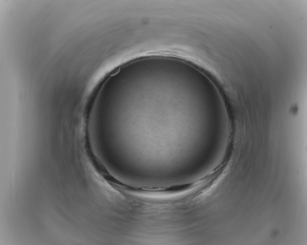 X0000093761506200710231242