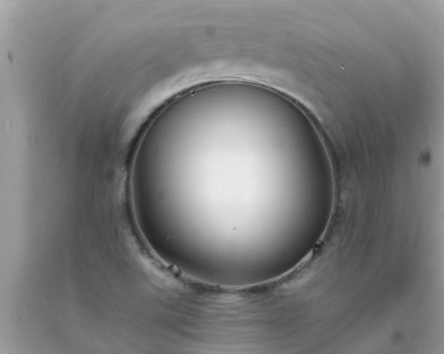 X0000093761507200710231242