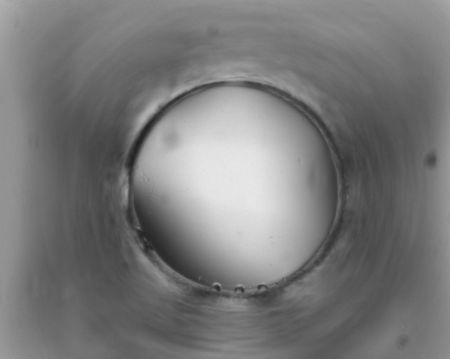 X0000093761509200710231242