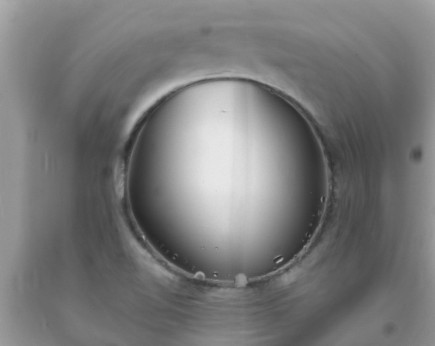 X0000093761510200710231242