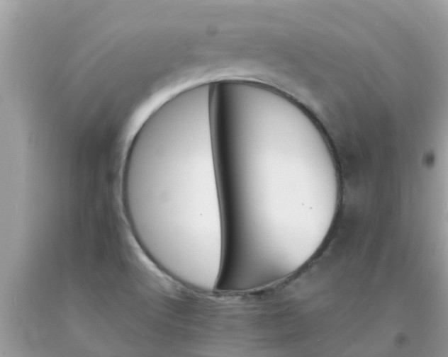 X0000093761512200710231242
