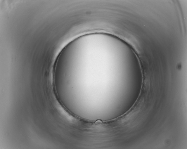 X0000093761516200710231242