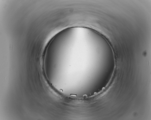 X0000093761517200710231242
