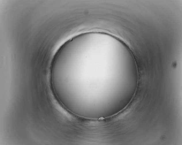 X0000093761518200710231242