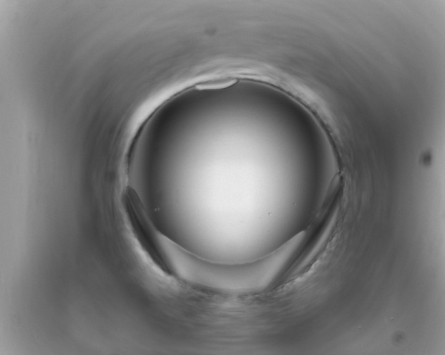 X0000093761520200710231242