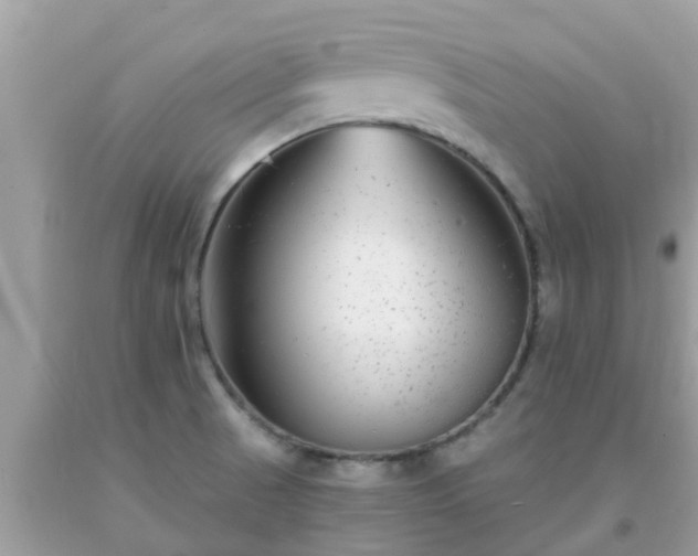 X0000093761521200710231242