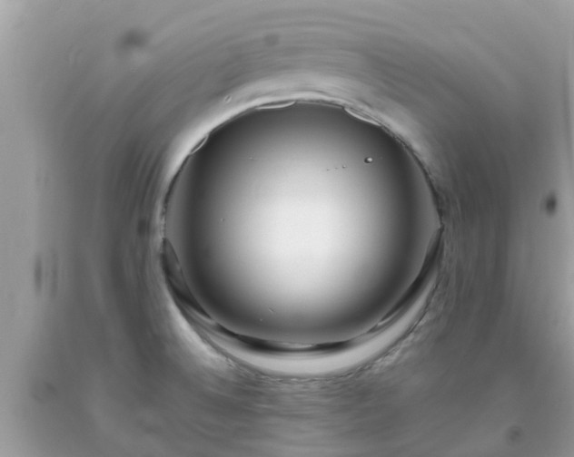 X0000093761524200710231242