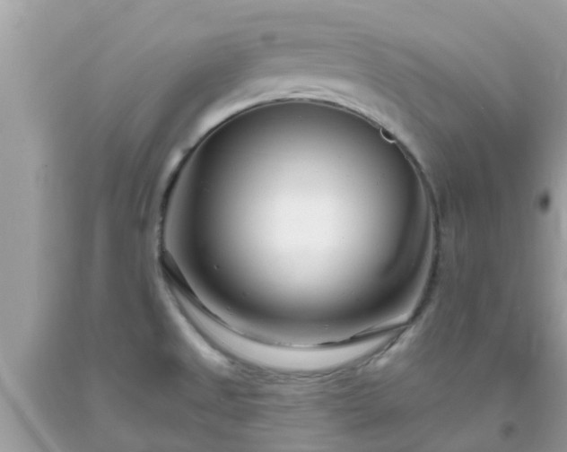 X0000093761525200710231242