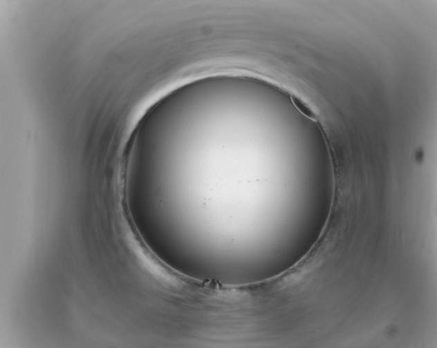 X0000093761526200710231242