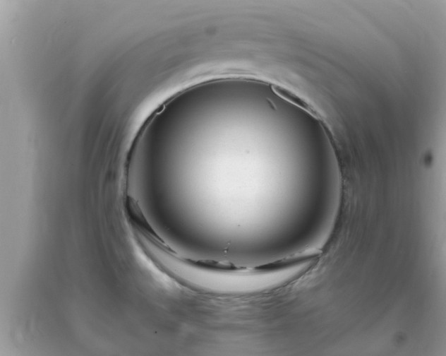 X0000093761527200710231242