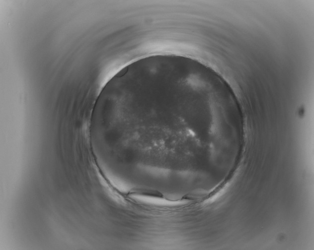 X0000093761529200710231242