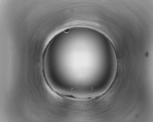 X0000093761531200710231242