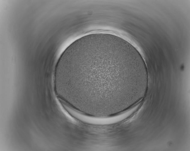 X0000093761533200710231242