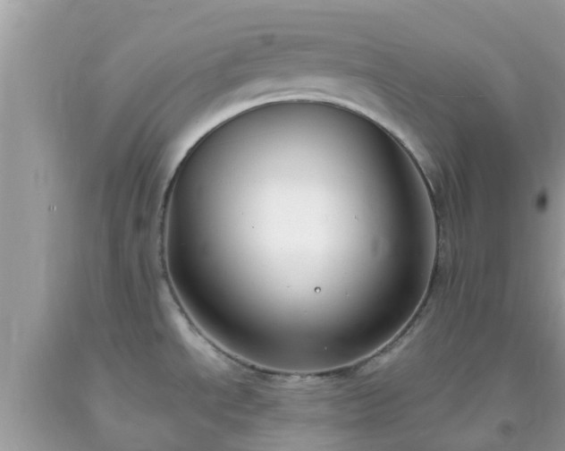 X0000093761534200710231242
