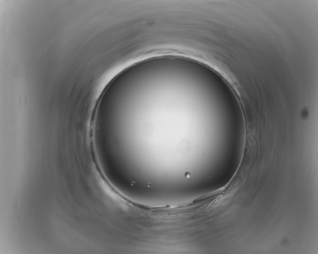 X0000093761535200710231242