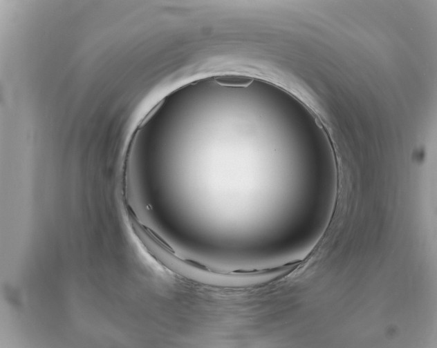 X0000093761536200710231242