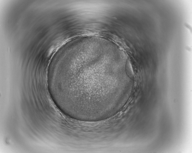 X0000093760002200710301154