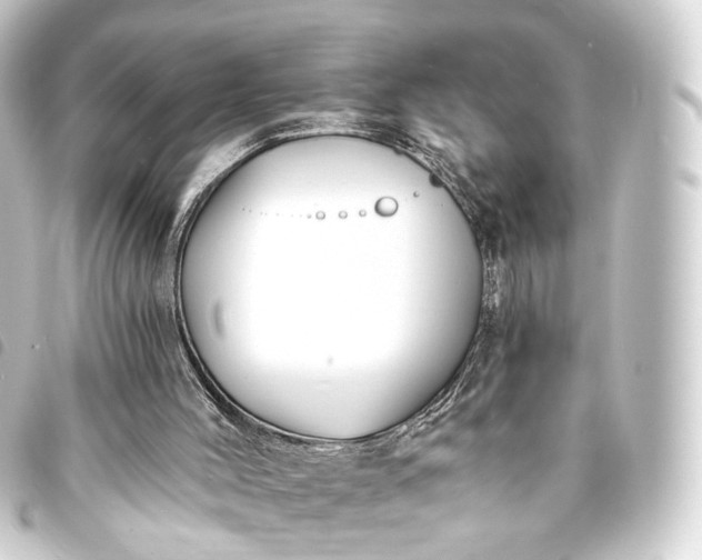 X0000093760004200710301154