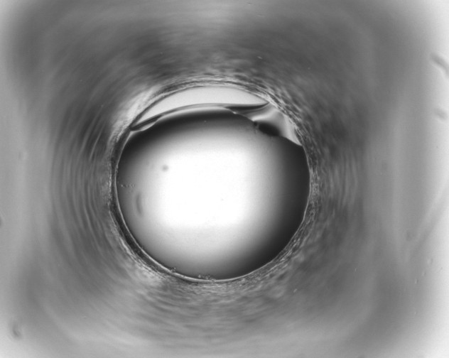 X0000093760005200710301154