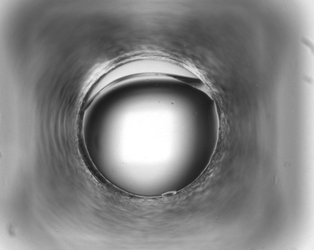 X0000093760007200710301154