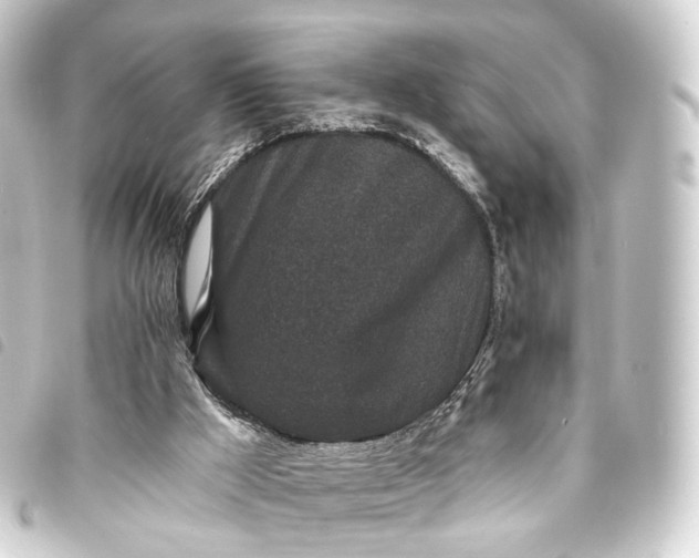 X0000093760009200710301154