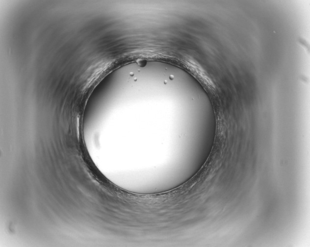 X0000093760014200710301154