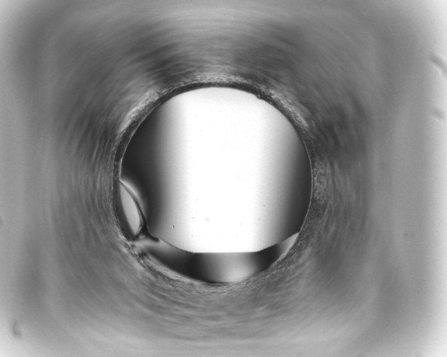 X0000093760015200710301154