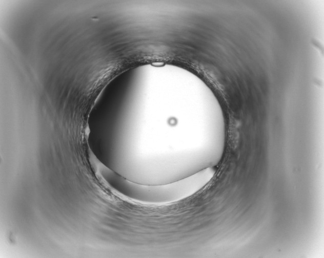 X0000093760017200710301154