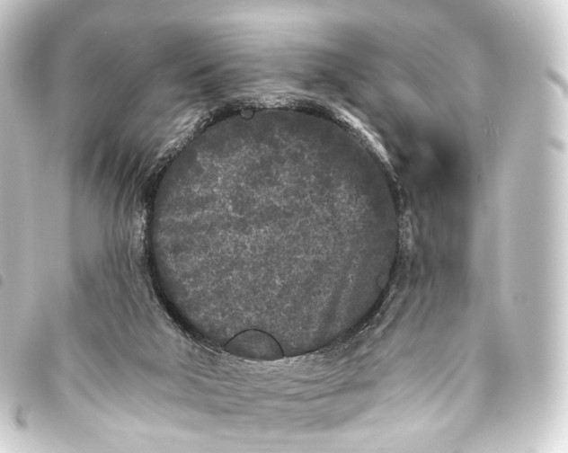 X0000093760018200710301154