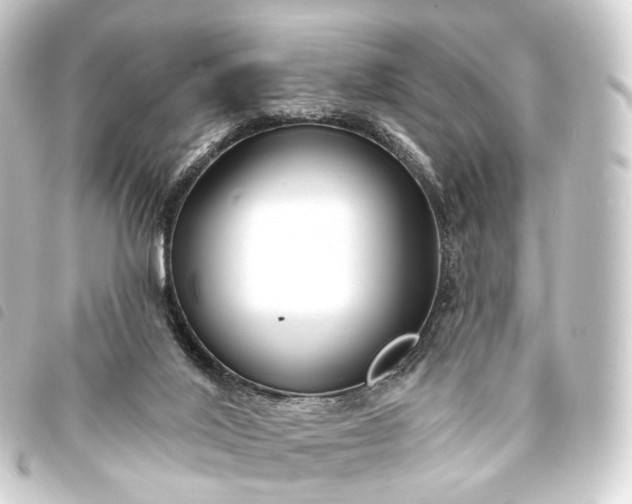 X0000093760020200710301154