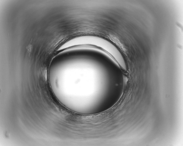 X0000093760021200710301154