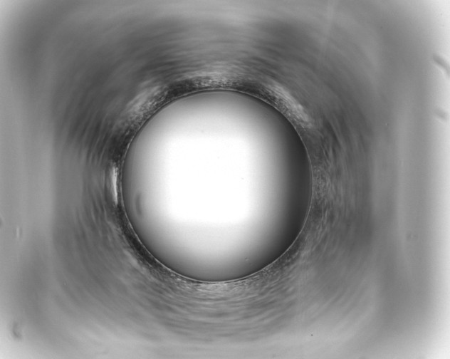 X0000093760022200710301154