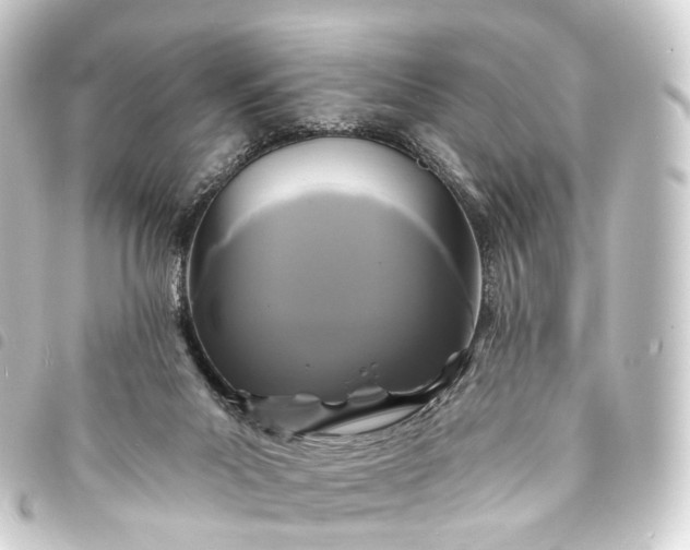 X0000093760023200710301154