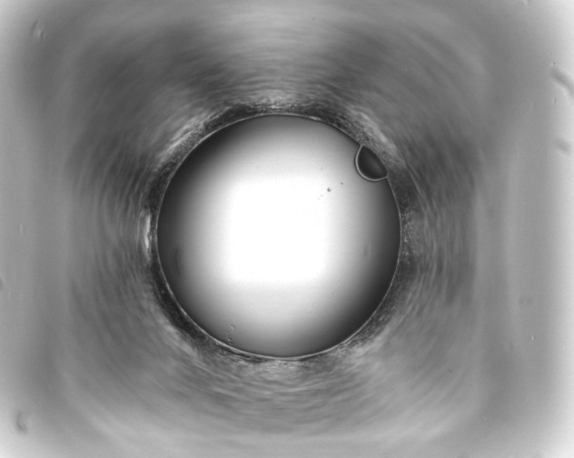 X0000093760024200710301154