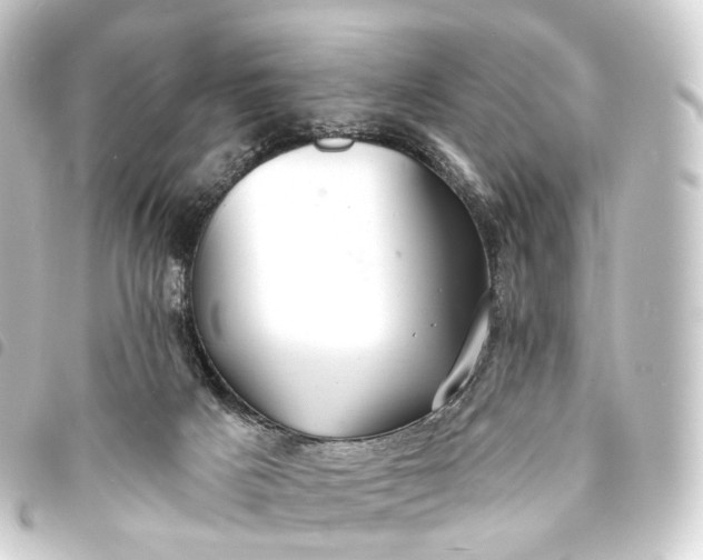 X0000093760025200710301154