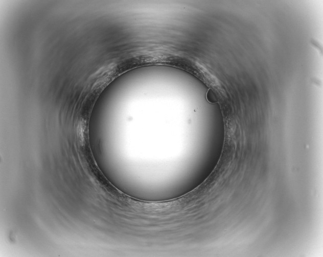 X0000093760026200710301154