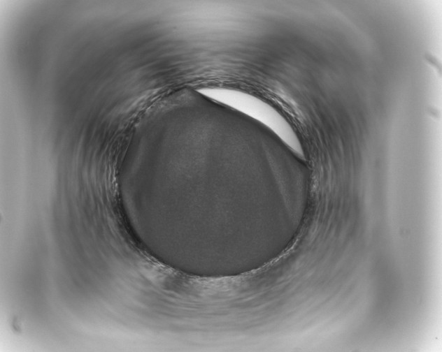 X0000093760029200710301154