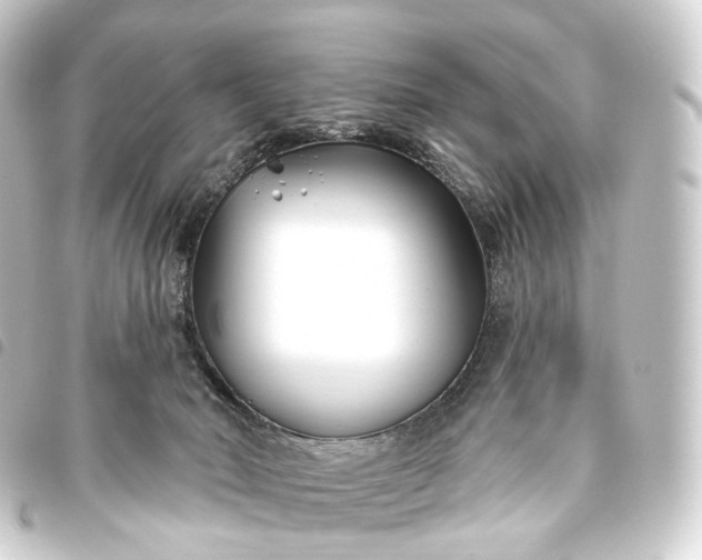 X0000093760030200710301154