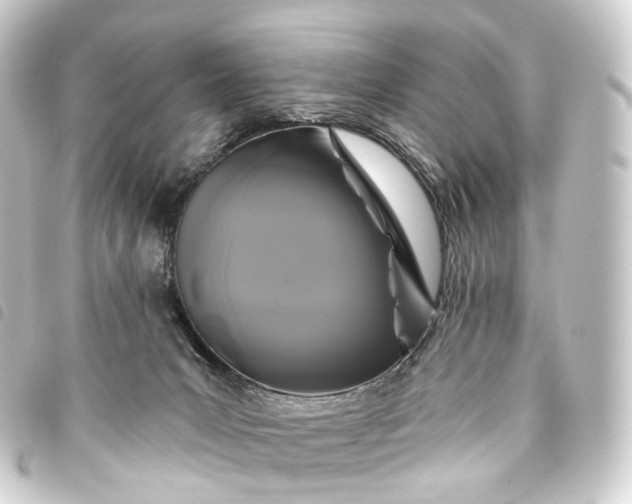 X0000093760031200710301154