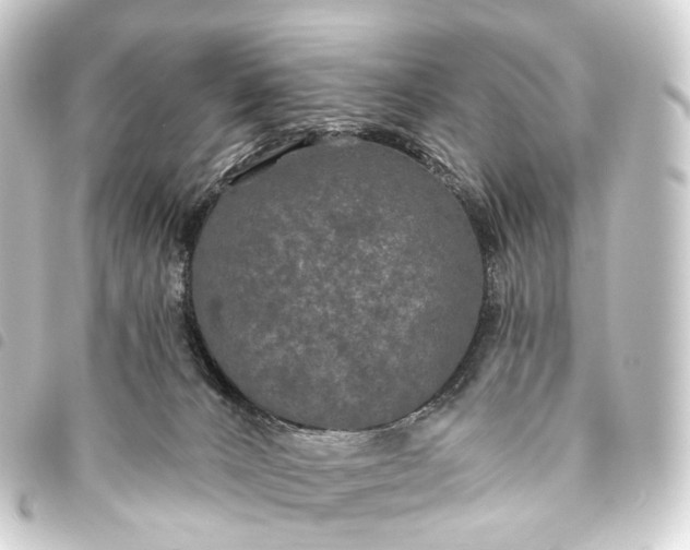 X0000093760032200710301154