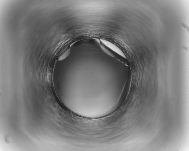 X0000093760035200710301154