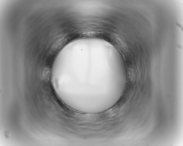 X0000093760036200710301154